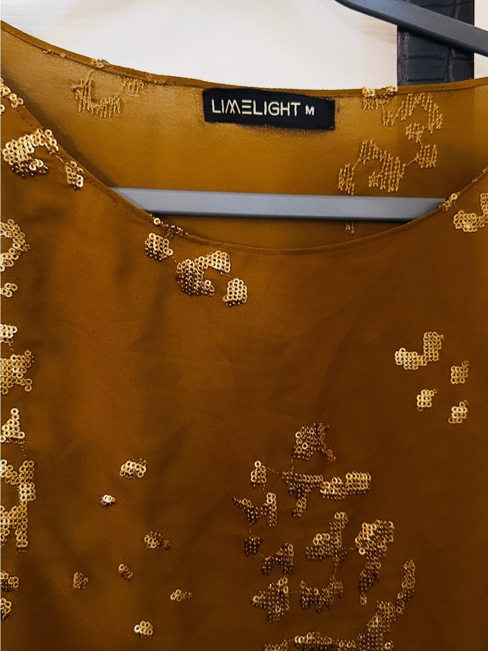 Limelight Brown blouse bottom Set with Subtle Gold sequenced Accents - Picture 3 of 6